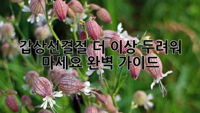 갑상선결절 더 이상 두려워 마세요! 완벽 가이드 📝